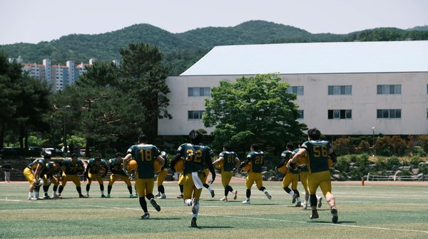 What Are the Key Elements of Modern UK Home Interiors?